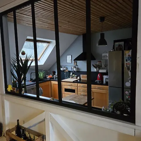 Duplex Centre Appartamento Colmar